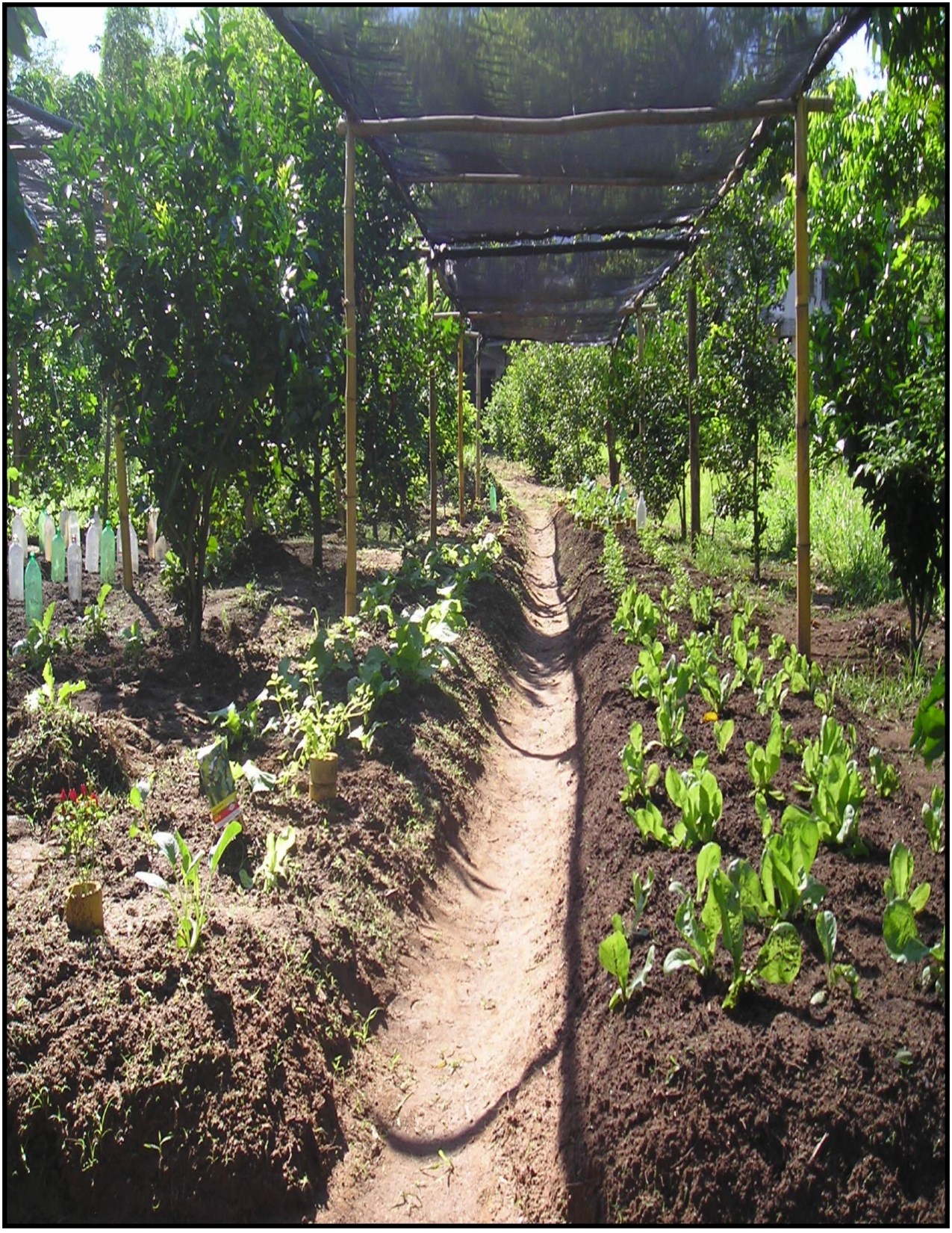 Organic Farming Awareness & Training — page